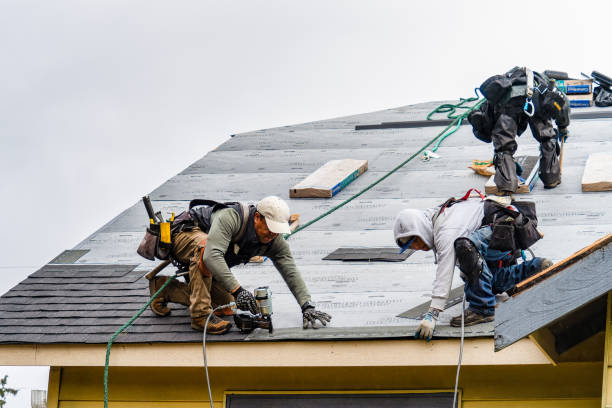 Professional Flat Roof Repair technician working in Havana, IL